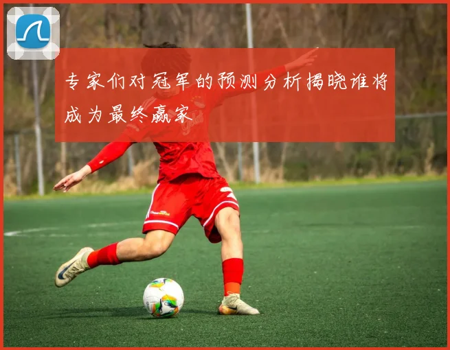 专家们对冠军的预测分析揭晓谁将成为最终赢家