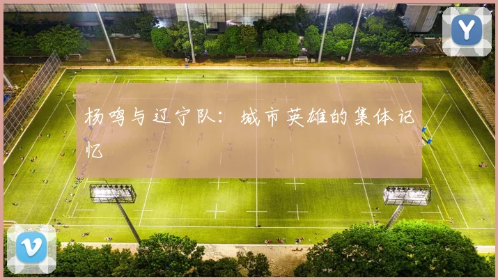 杨鸣与辽宁队：城市英雄的集体记忆