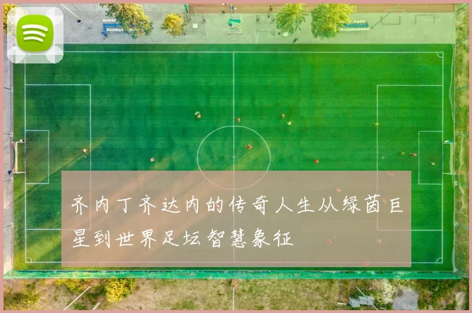 齐内丁齐达内的传奇人生从绿茵巨星到世界足坛智慧象征